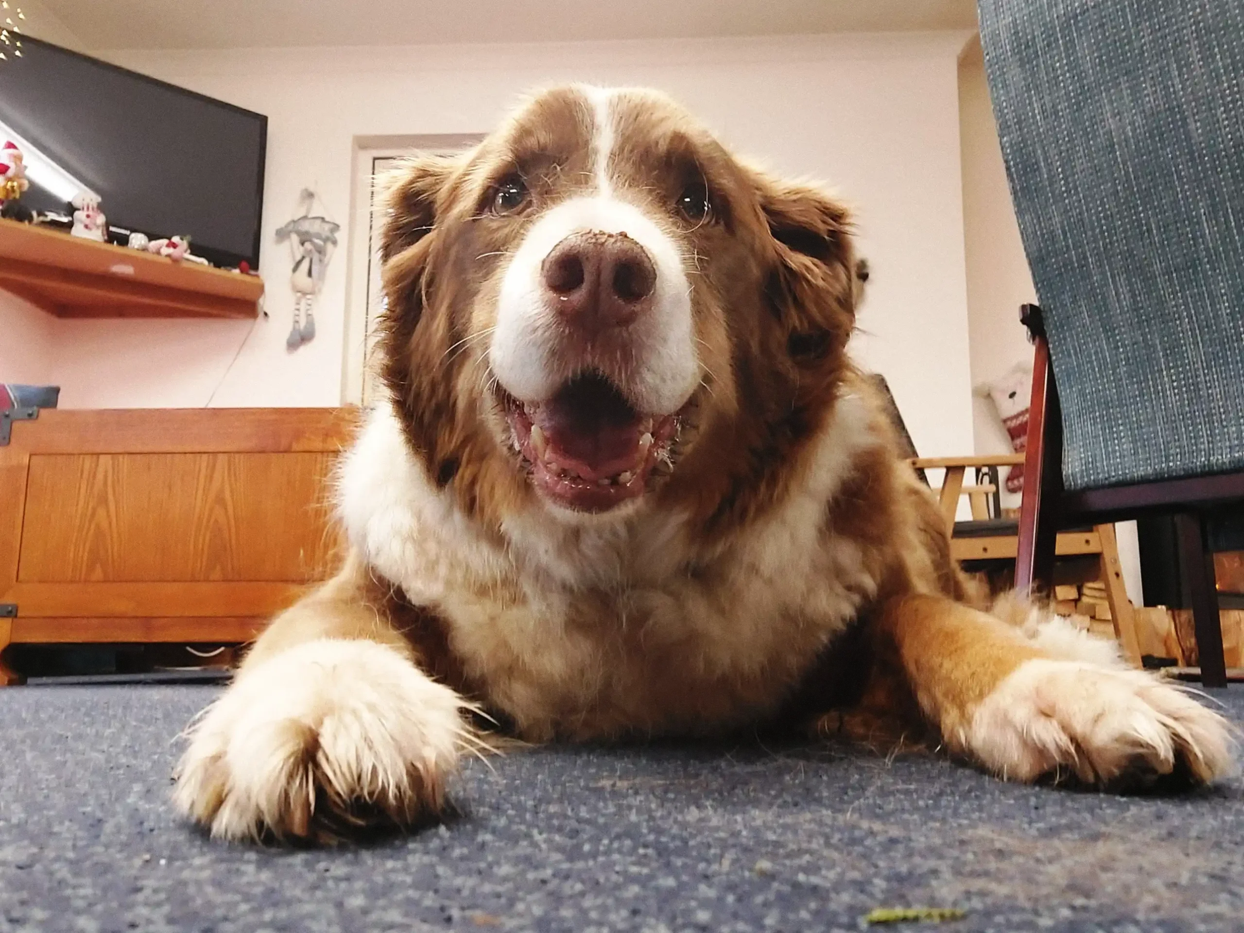 our friend